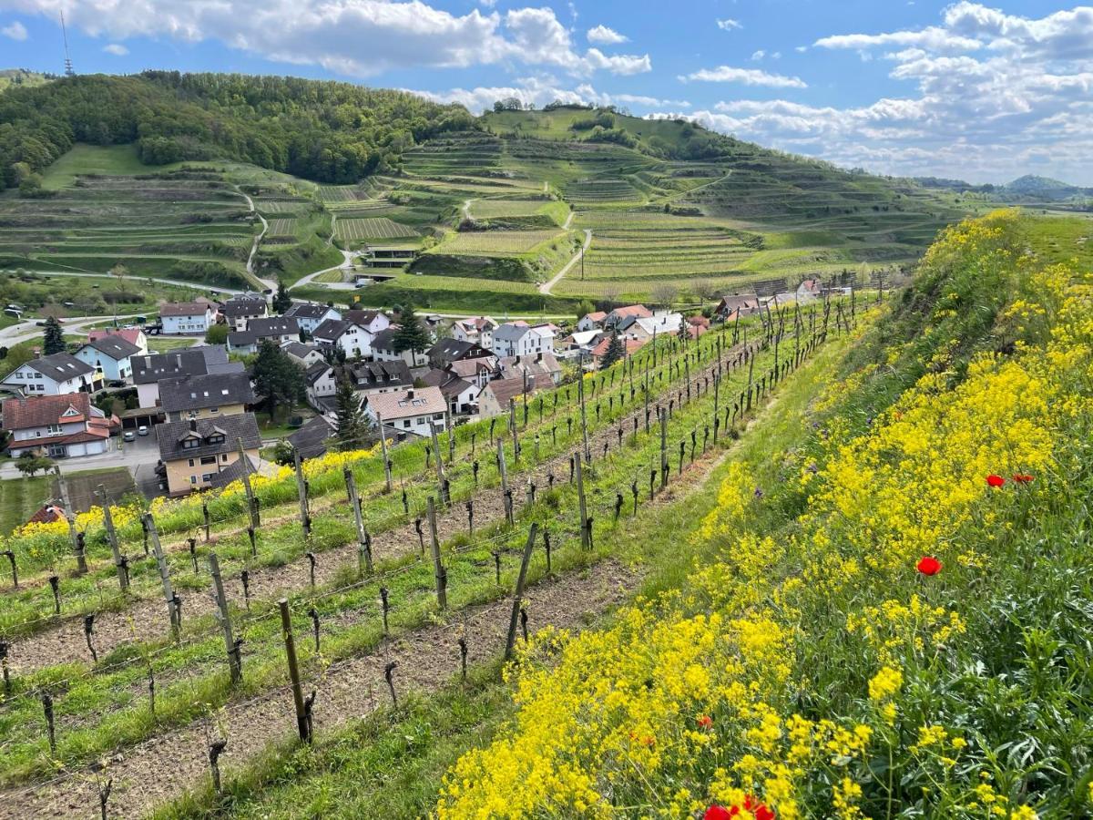 Weingut & Strausswirtschaft Vogel Apartment Vogtsburg Exterior photo