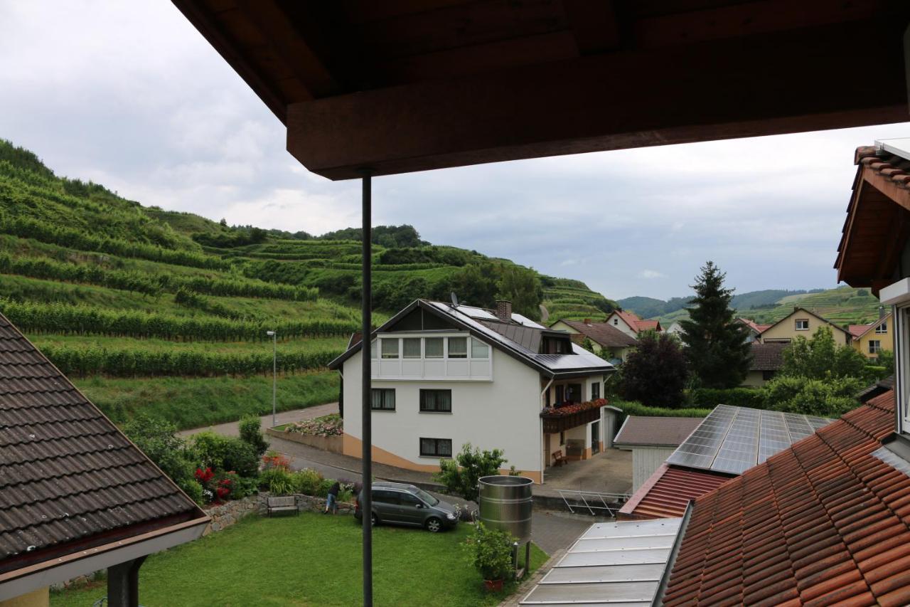 Weingut & Strausswirtschaft Vogel Apartment Vogtsburg Exterior photo