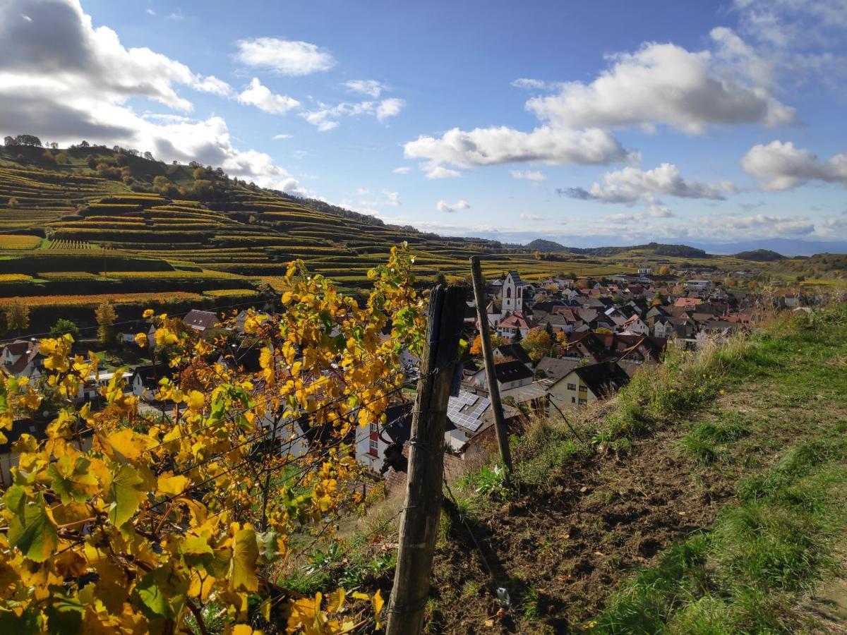 Weingut & Strausswirtschaft Vogel Apartment Vogtsburg Exterior photo