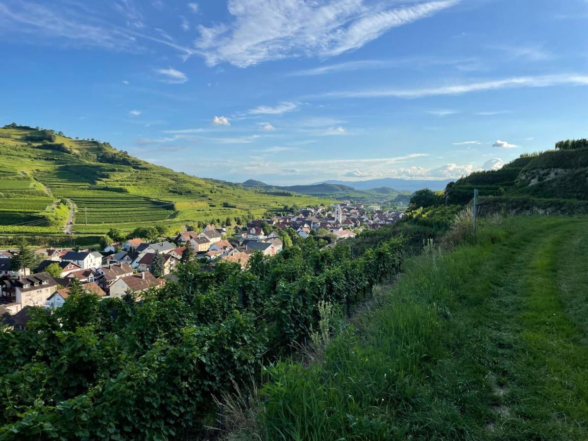 Weingut & Strausswirtschaft Vogel Apartment Vogtsburg Exterior photo