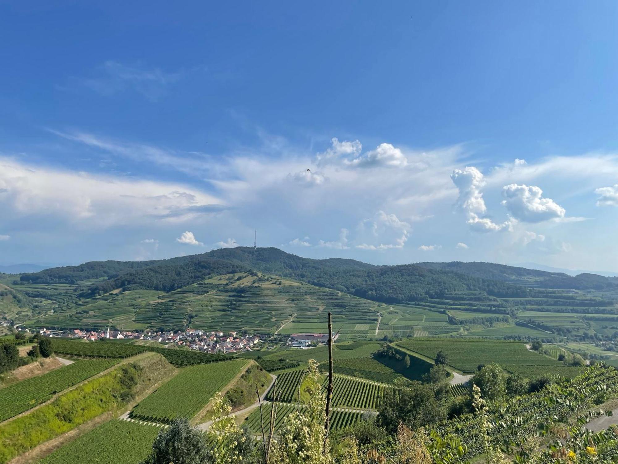 Weingut & Strausswirtschaft Vogel Apartment Vogtsburg Exterior photo