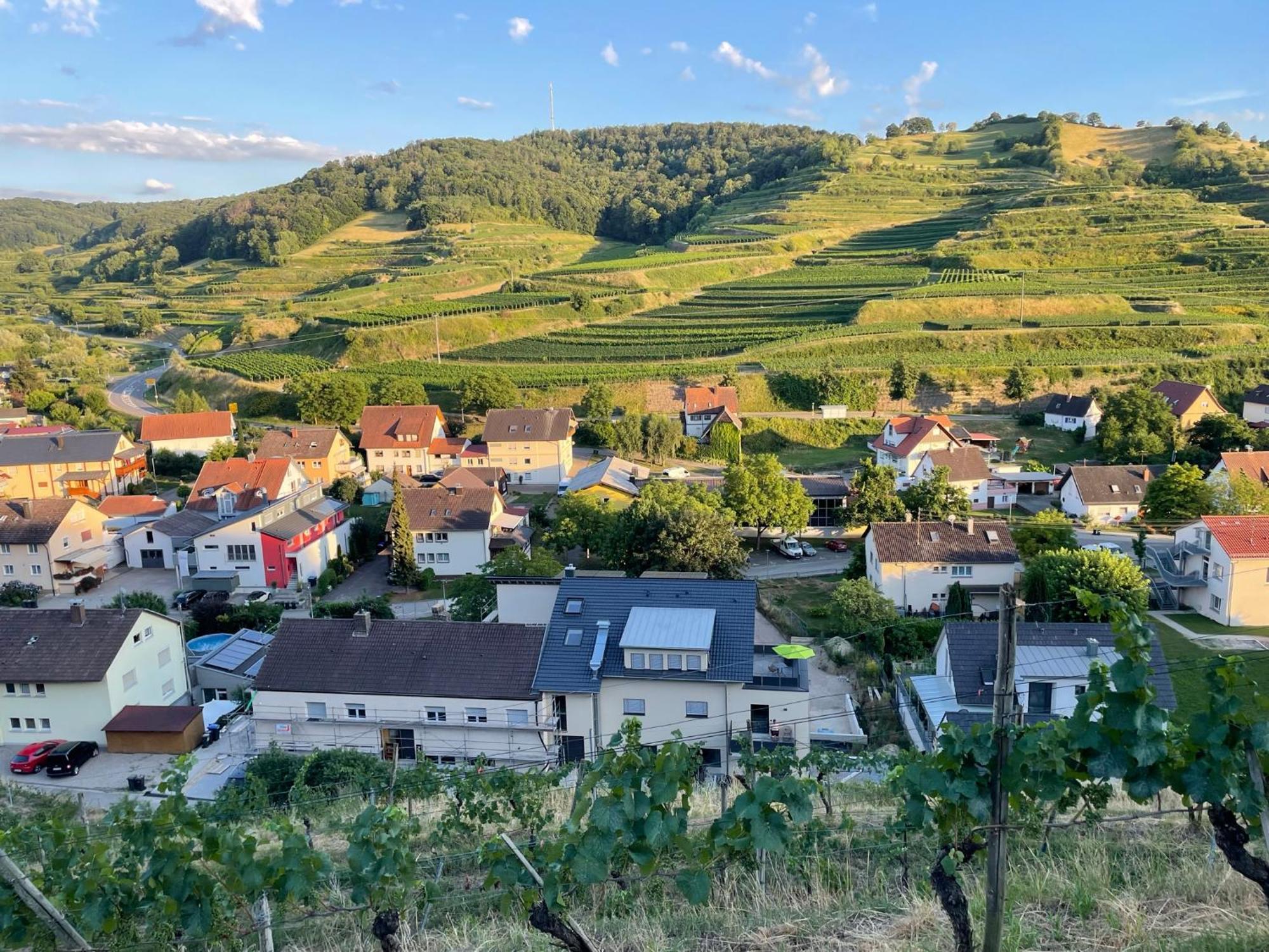 Weingut & Strausswirtschaft Vogel Apartment Vogtsburg Exterior photo